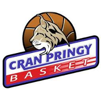 CRAN PRINGY BASKET